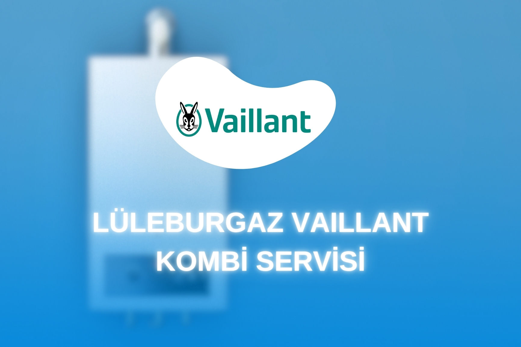 Lüleburgaz Vaillant Kombi Servisi